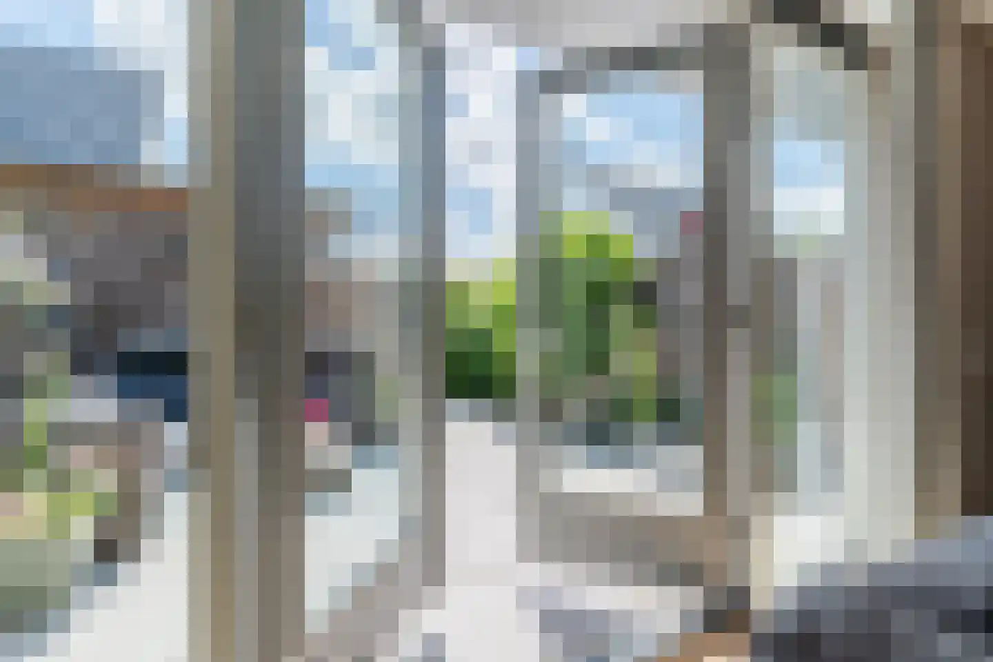 Kweepeer 38 Boskoop thumbnail 11