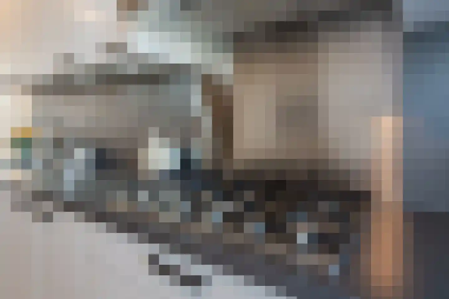 Kweepeer 38 Boskoop thumbnail 16
