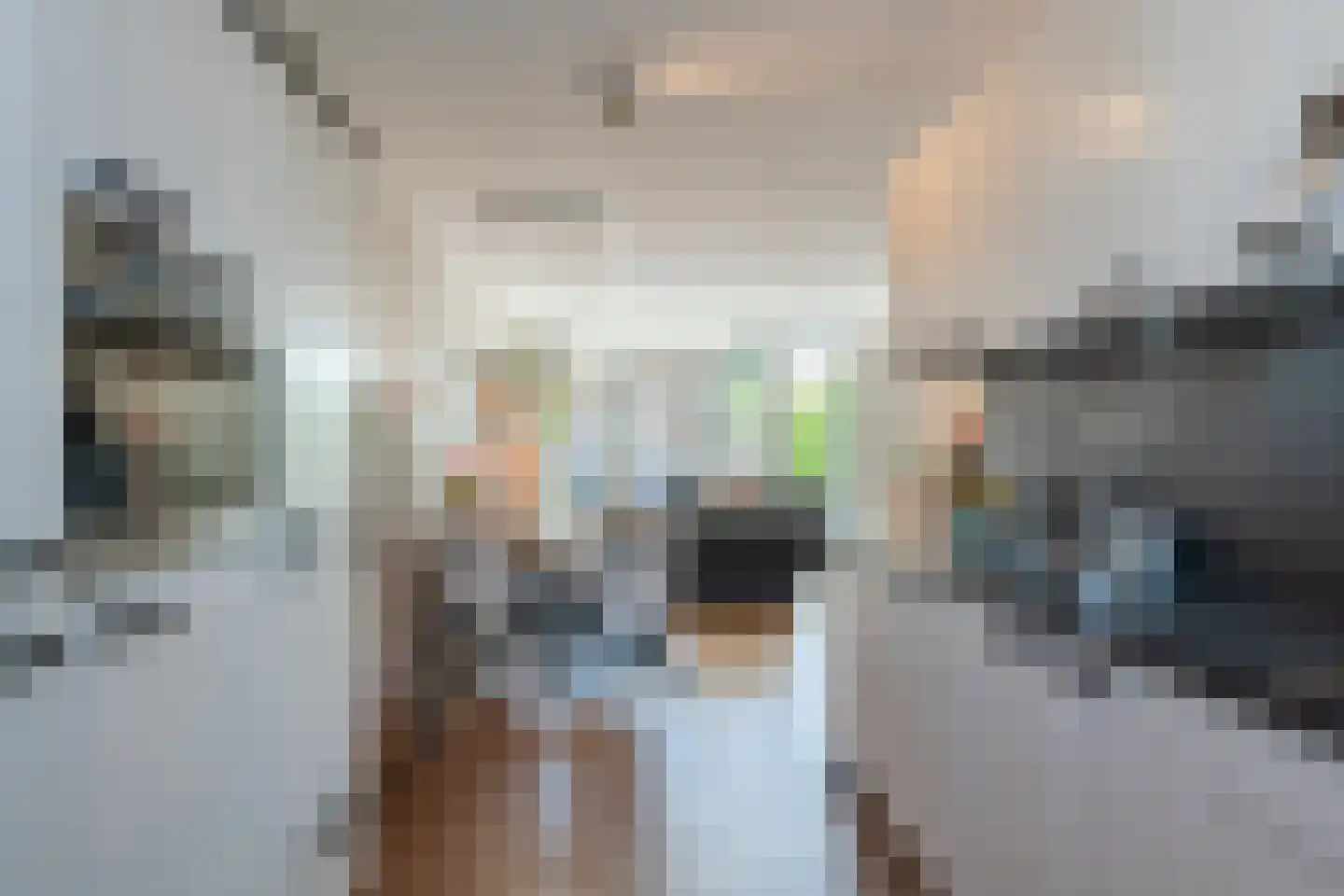 Kweepeer 38 Boskoop thumbnail 18