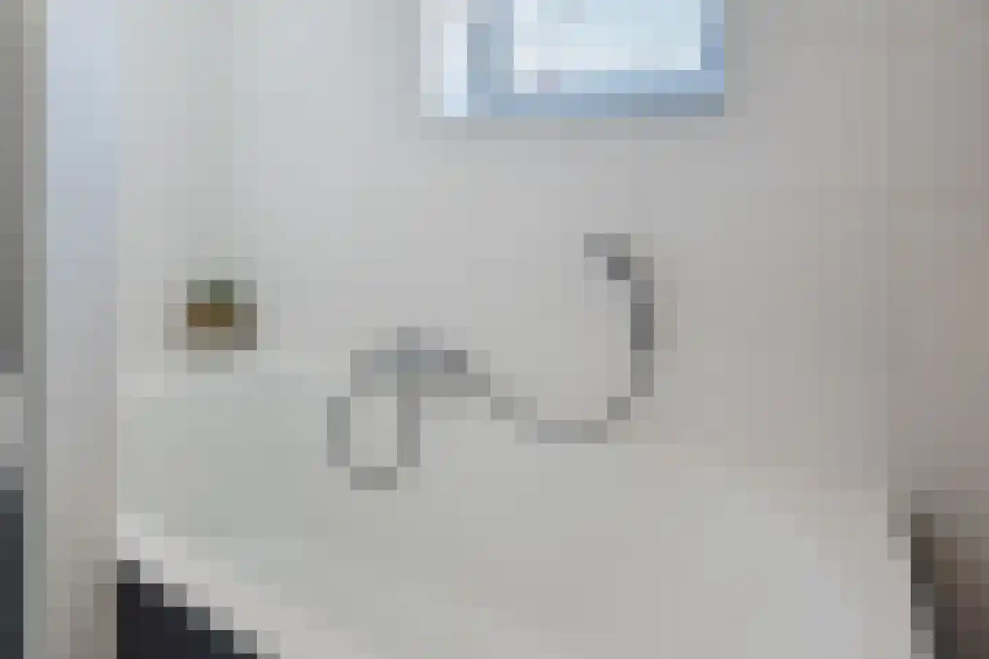 Kweepeer 38 Boskoop thumbnail 29