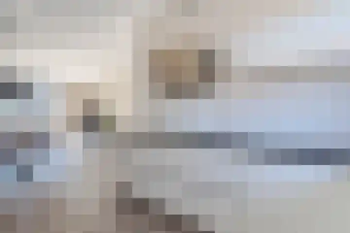 Kweepeer 4 Boskoop thumbnail 10