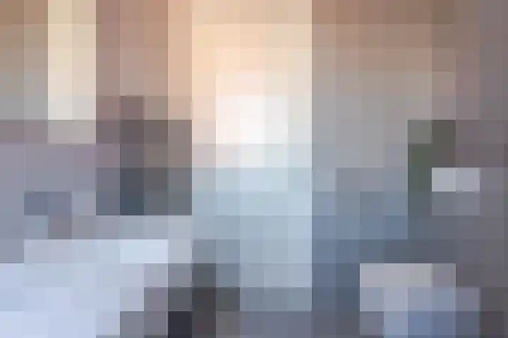 Kweepeer 4 Boskoop thumbnail 18