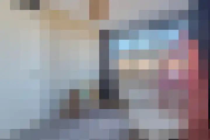 Kweepeer 4 Boskoop thumbnail 21
