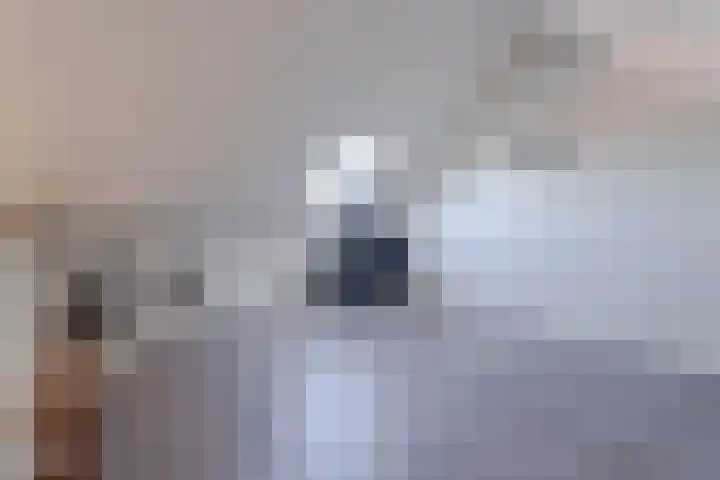 Kweepeer 4 Boskoop thumbnail 23