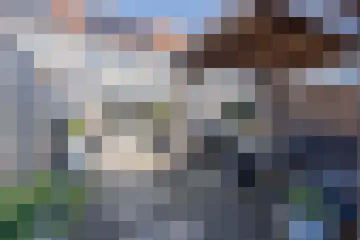 Kweepeer 4 Boskoop thumbnail 25