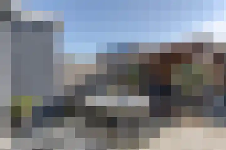 Kweepeer 4 Boskoop thumbnail 26