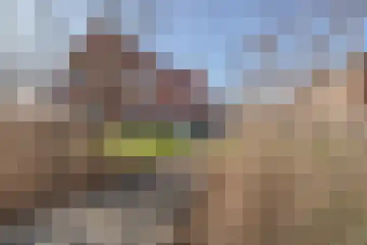 Kweepeer 4 Boskoop thumbnail 32