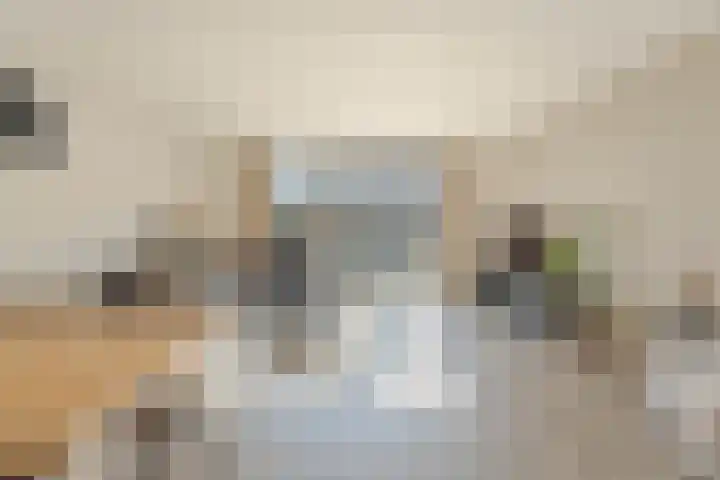 Kweepeer 4 Boskoop thumbnail 4