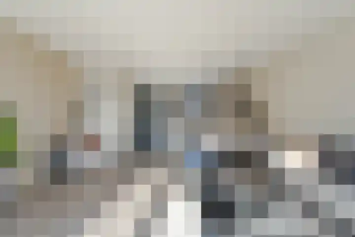 Kweepeer 4 Boskoop thumbnail 5