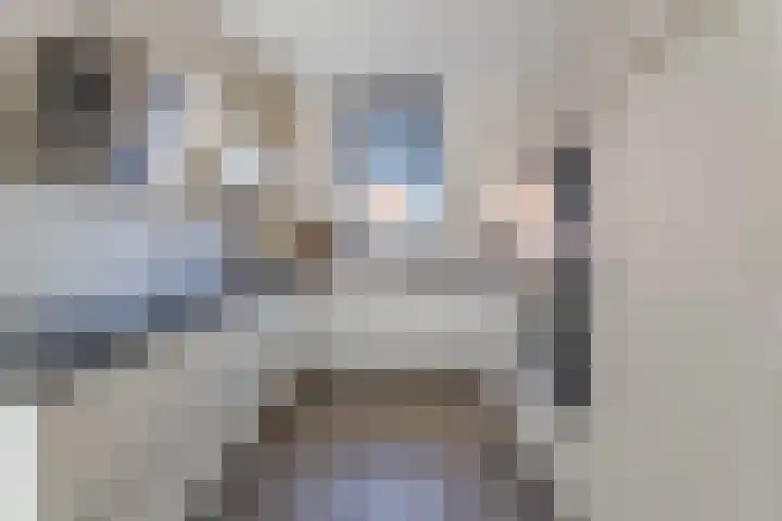 Kweepeer 4 Boskoop thumbnail 8
