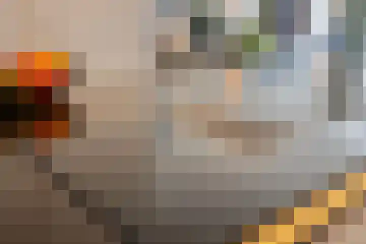 Kweepeer 4 Vlijmen thumbnail 15