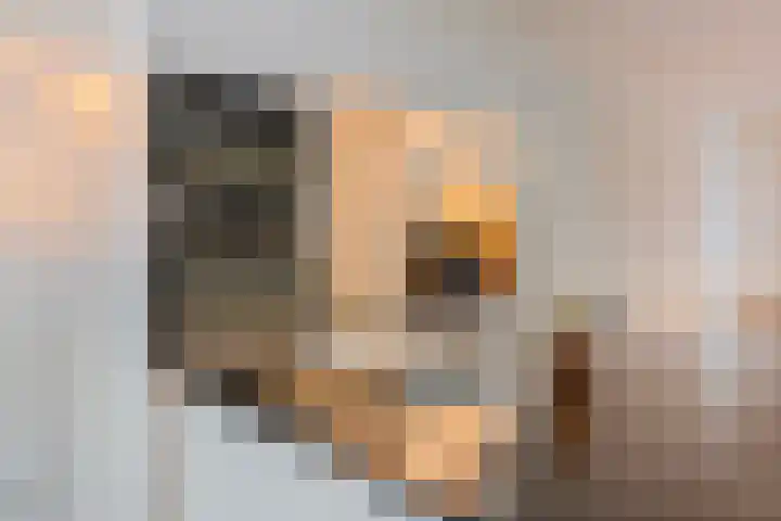 Kweepeer 4 Vlijmen thumbnail 16