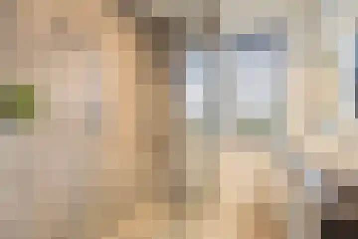 Kweepeer 4 Vlijmen thumbnail 21