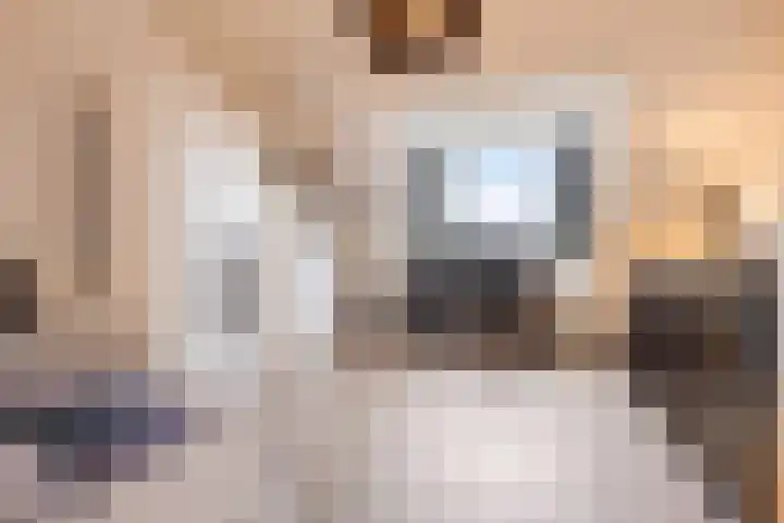 Kweepeer 4 Vlijmen thumbnail 26