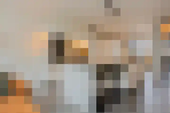 Kweepeer 4 Vlijmen foto 3