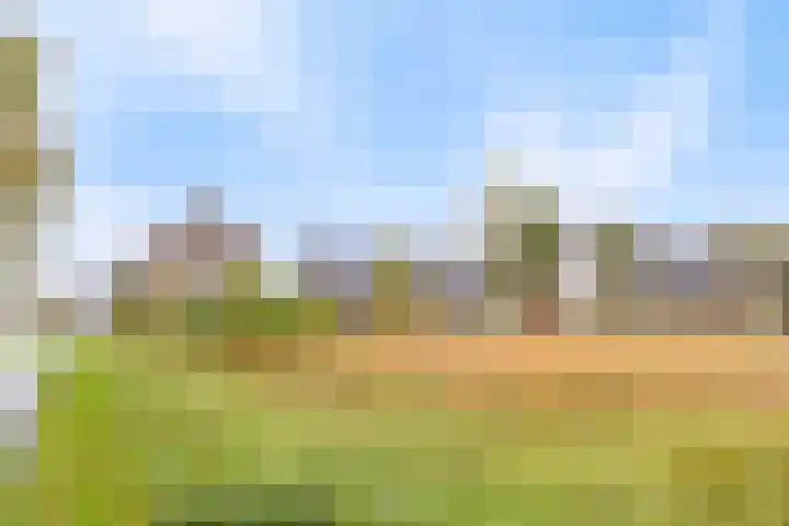 Kweepeer 4 Vlijmen thumbnail 34
