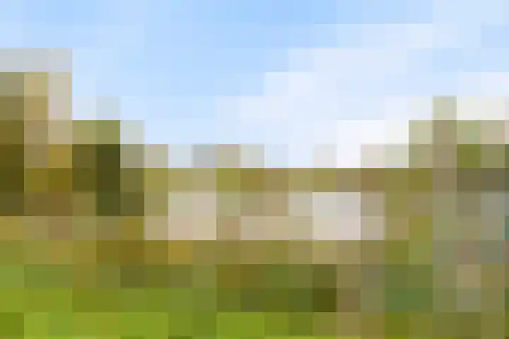 Kweepeer 4 Vlijmen thumbnail 35
