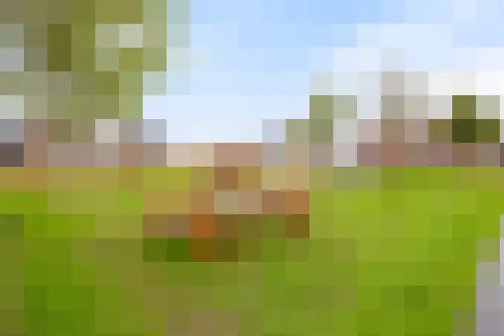 Kweepeer 4 Vlijmen thumbnail 37