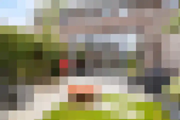Kweepeer 4 Vlijmen thumbnail 4