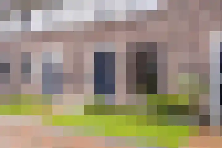 Kweepeer 4 Vlijmen thumbnail 5