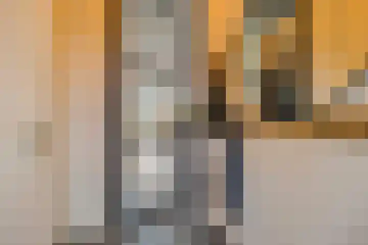 Kweepeer 4 Vlijmen thumbnail 7