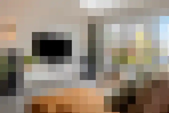Kweepeer 4 Vlijmen thumbnail 8