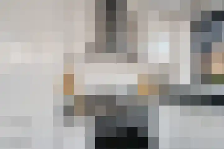 Kweepeer 60 Boskoop thumbnail 15