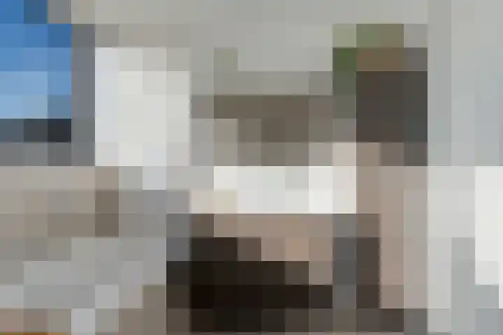 Kweepeer 60 Boskoop thumbnail 27