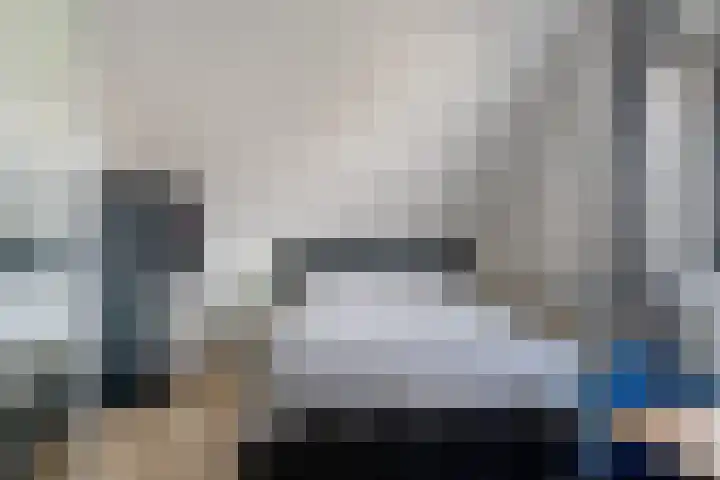 Kweepeer 60 Boskoop thumbnail 31