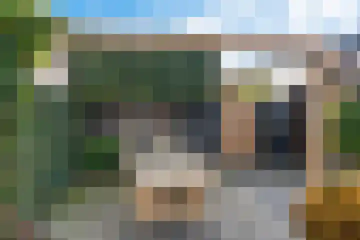 Kweepeer 60 Boskoop thumbnail 35