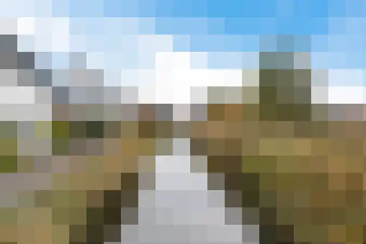 Kweepeer 60 Boskoop thumbnail 41