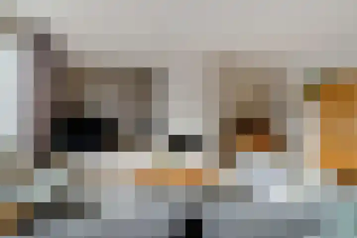 Kweepeer 60 Boskoop thumbnail 6
