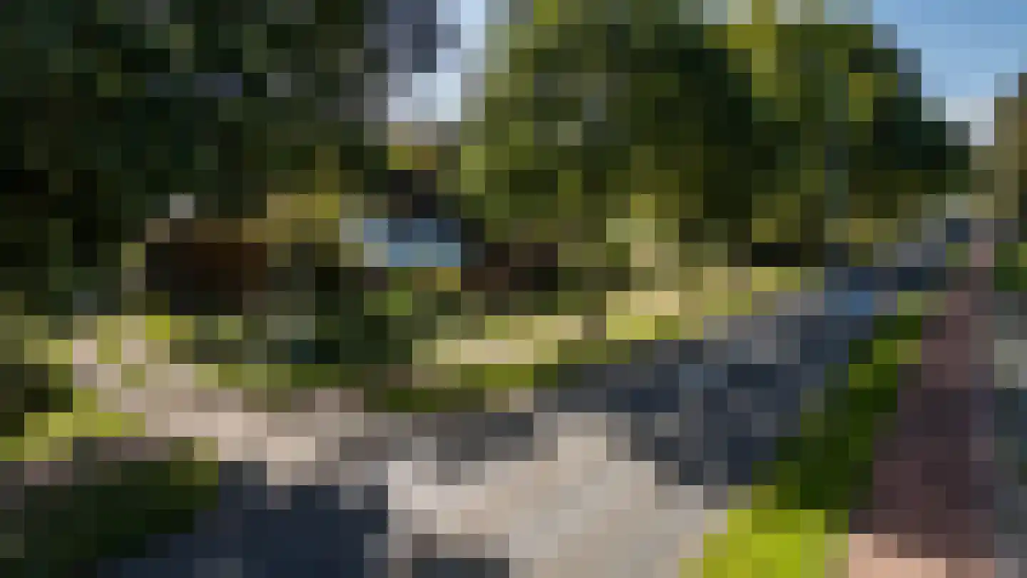 Kwekerijhof 1 Eelderwolde thumbnail 11