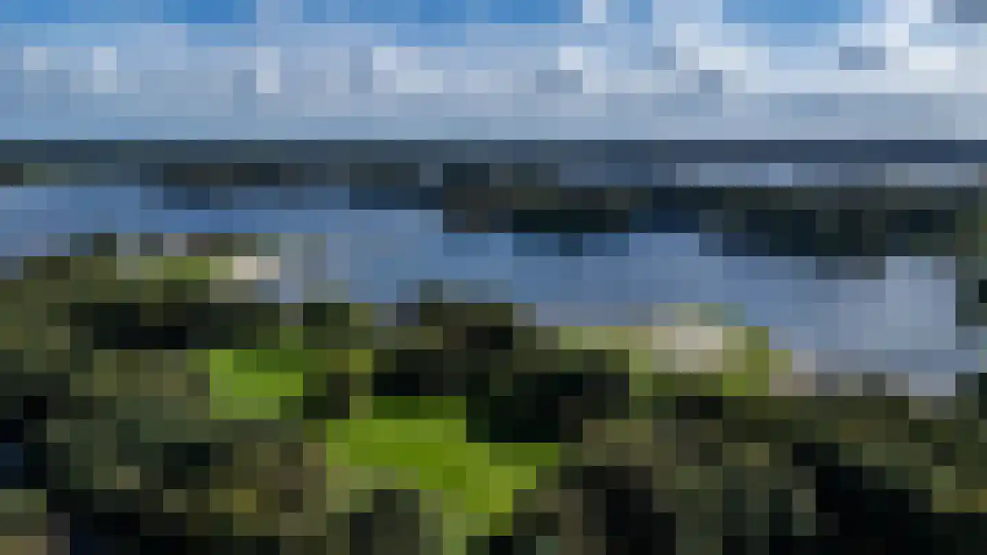Kwekerijhof 1 Eelderwolde thumbnail 12