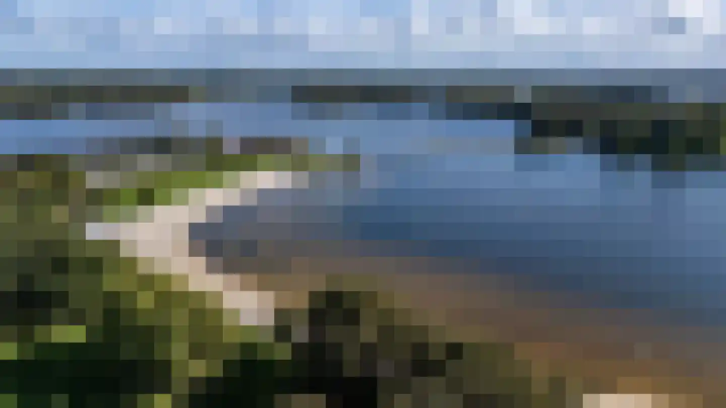 Kwekerijhof 1 Eelderwolde thumbnail 13