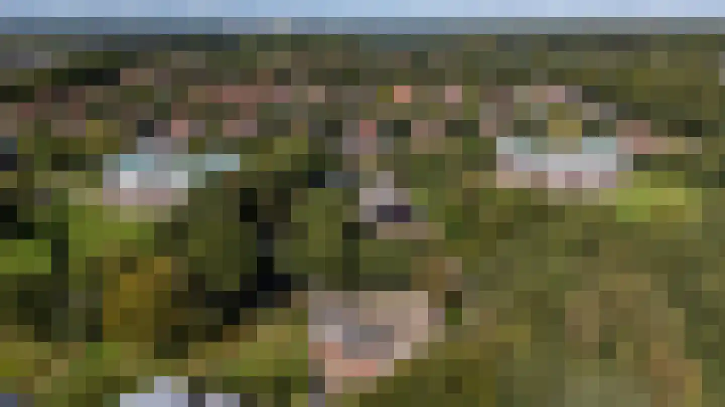 Kwekerijhof 1 Eelderwolde thumbnail 14