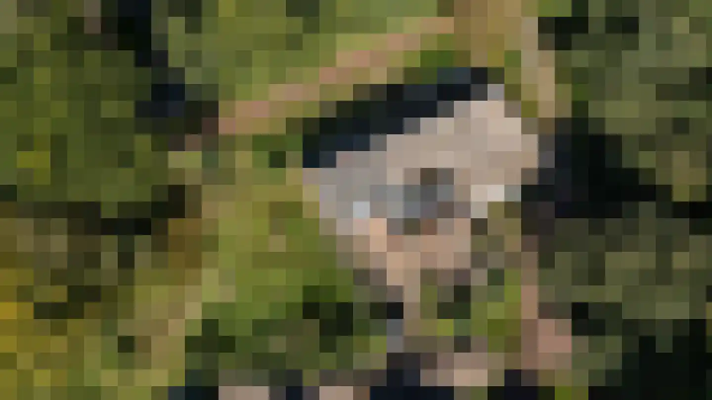 Kwekerijhof 1 Eelderwolde thumbnail 15
