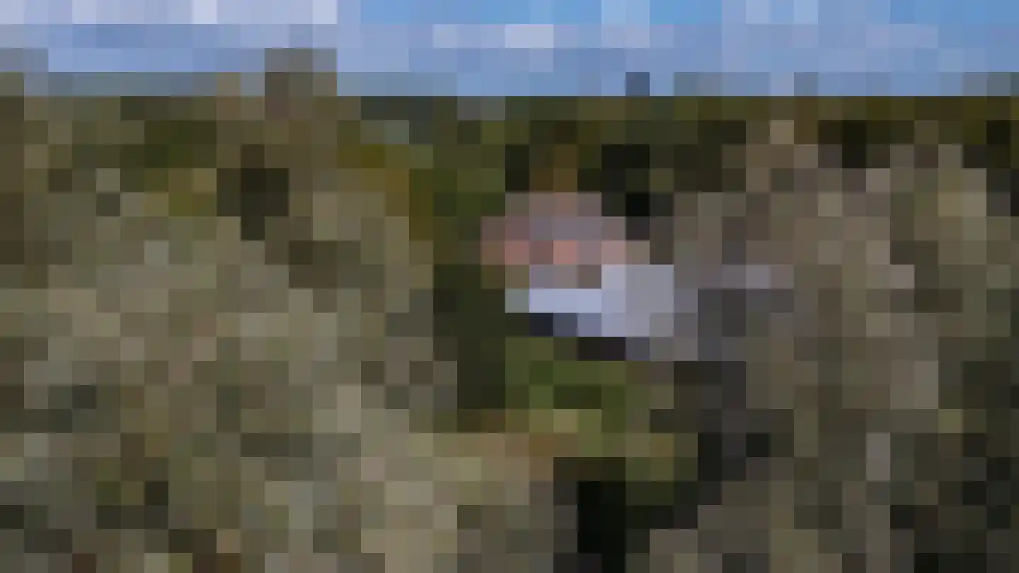 Kwekerijhof 1 Eelderwolde thumbnail 5
