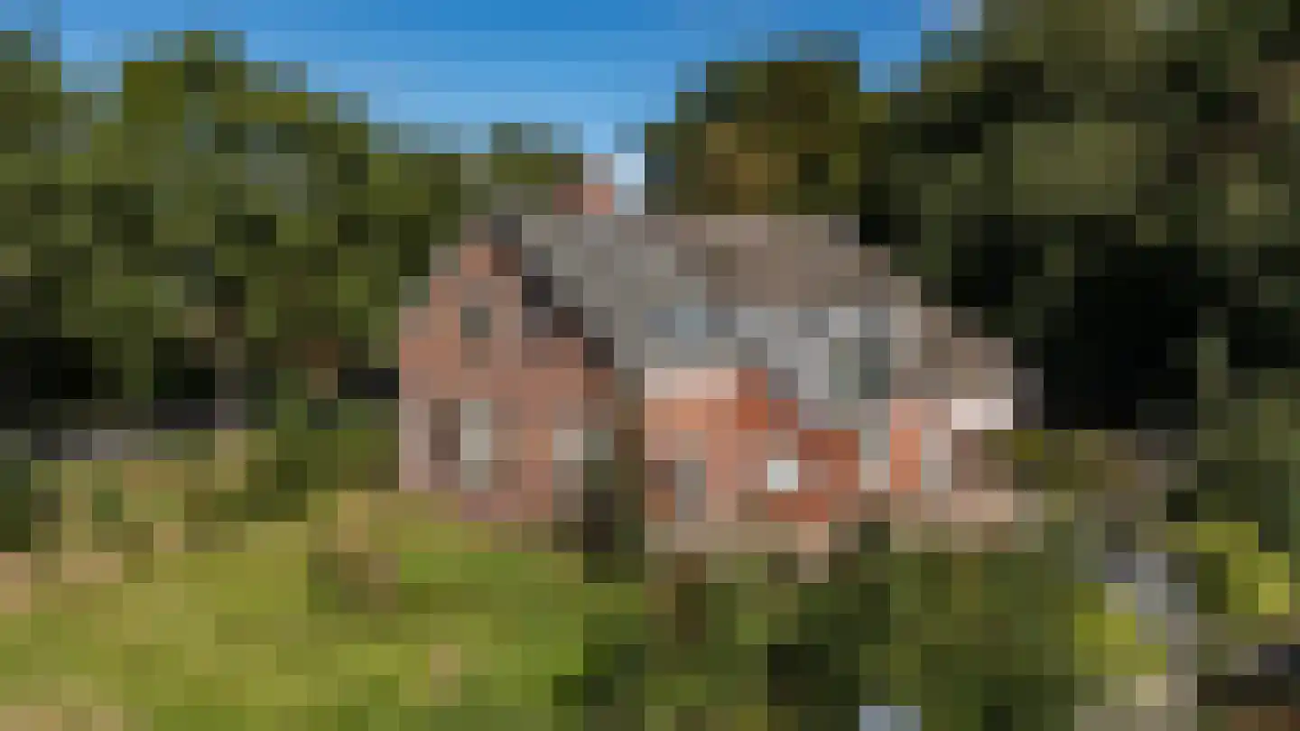 Kwekerijhof 1 Eelderwolde thumbnail 7