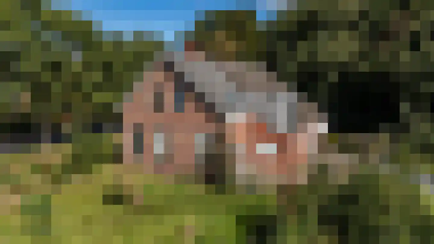 Kwekerijhof 1 Eelderwolde thumbnail 8