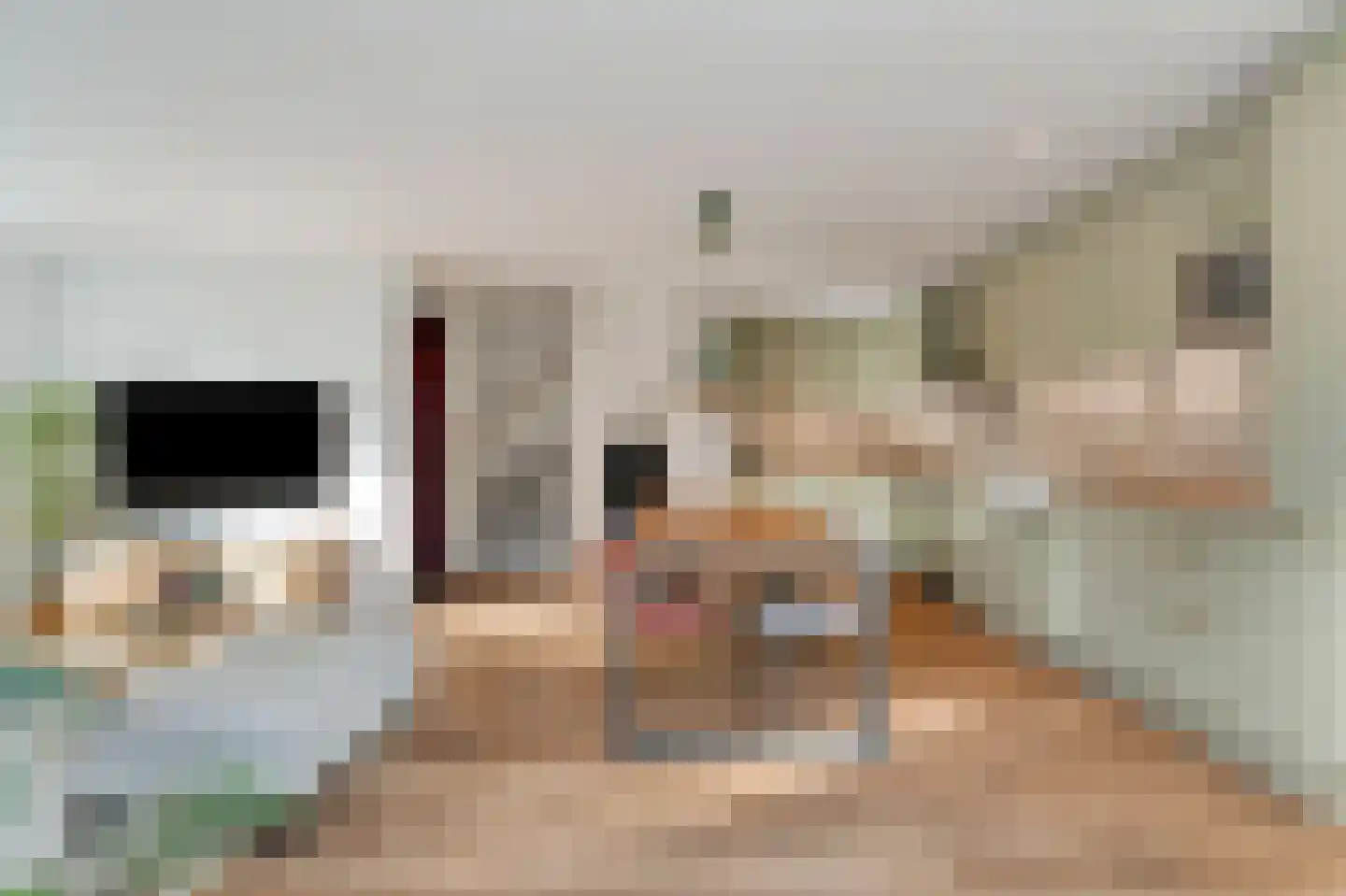 Kwekerijlaan 14 Amsterdam thumbnail 17