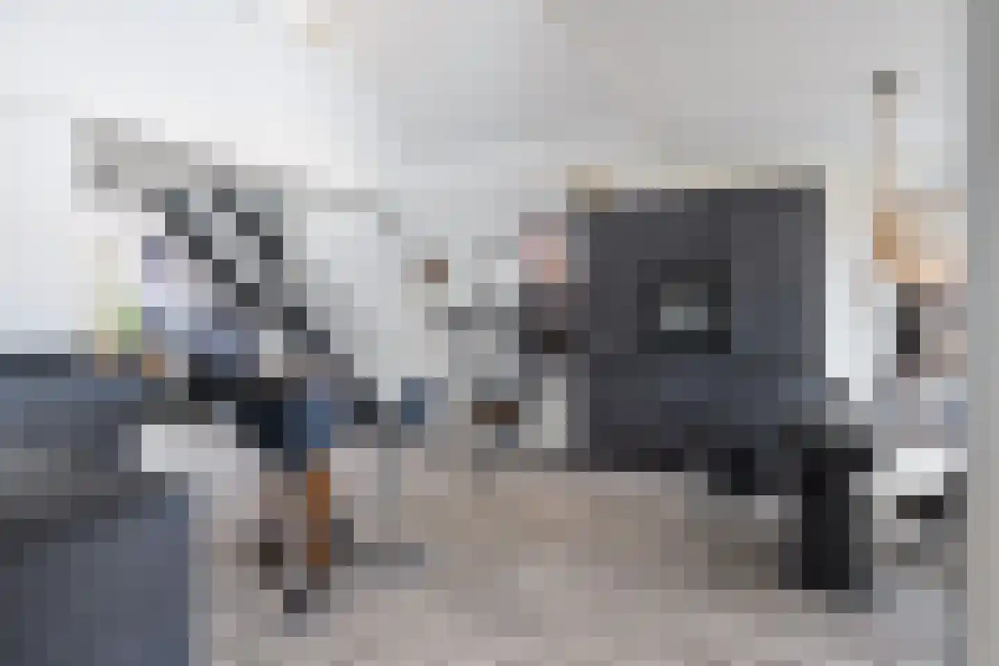 Kwekerijleane 3 D Berltsum thumbnail 10