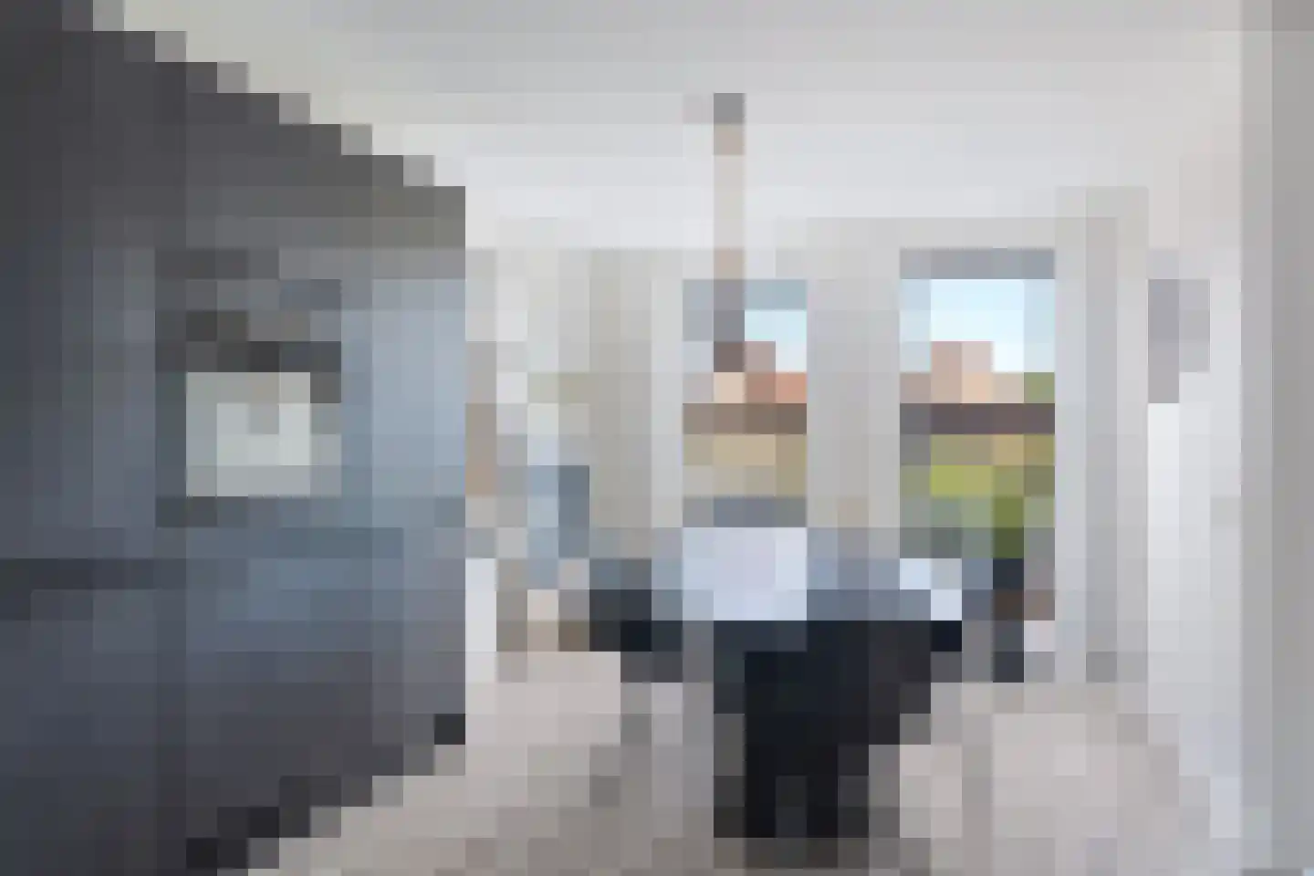 Kwekerijleane 3 D Berltsum thumbnail 11