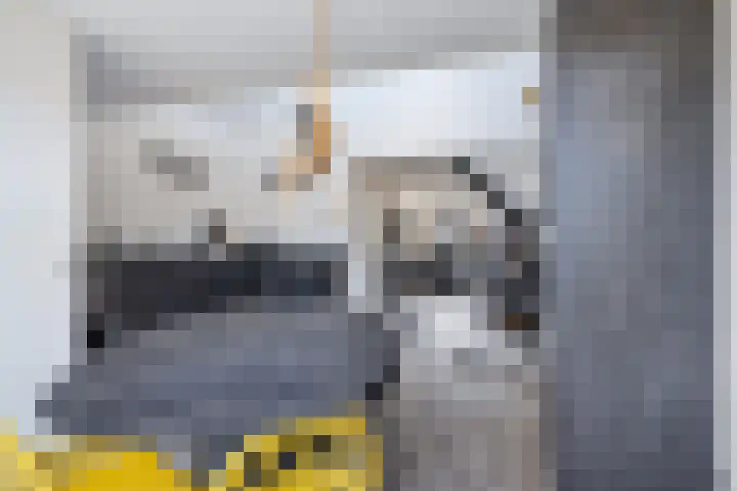 Kwekerijleane 3 D Berltsum thumbnail 12