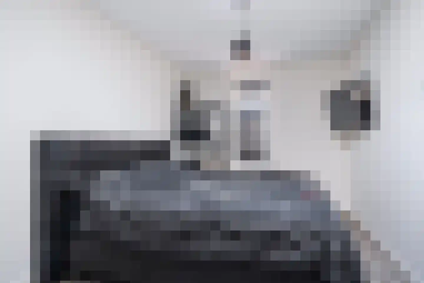 Kwekerijleane 3 D Berltsum thumbnail 19