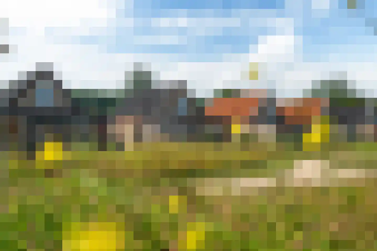 Kwekerijleane 3 D Berltsum foto 2