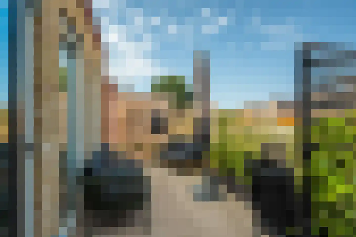 Kwekerijleane 3 D Berltsum thumbnail 24