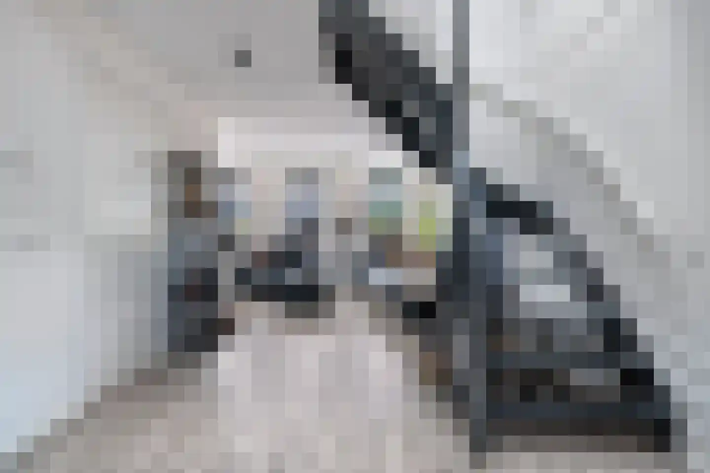 Kwekerijleane 3 D Berltsum thumbnail 28