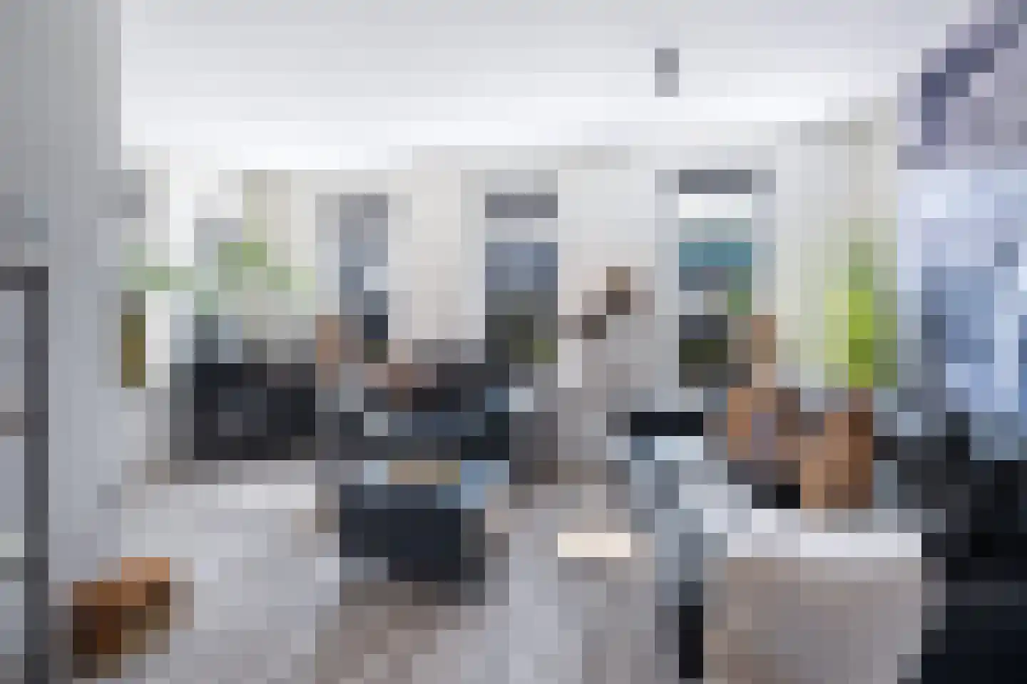 Kwekerijleane 3 D Berltsum foto 3