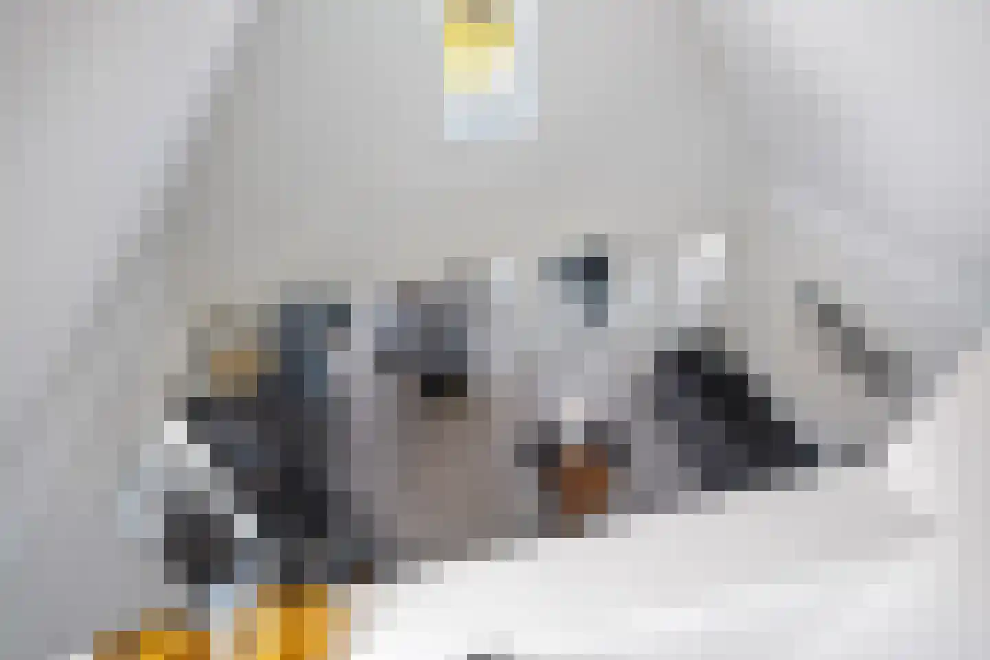 Kwekerijleane 3 D Berltsum thumbnail 30